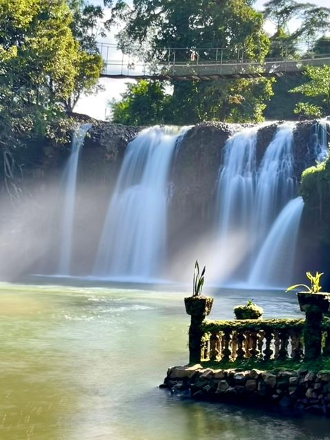Tablelands Sights & Daintree Rainforest - Mossman River Guided Walk