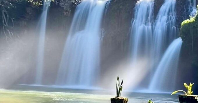 Tablelands Sights & Daintree Rainforest - Daintree River Cruise