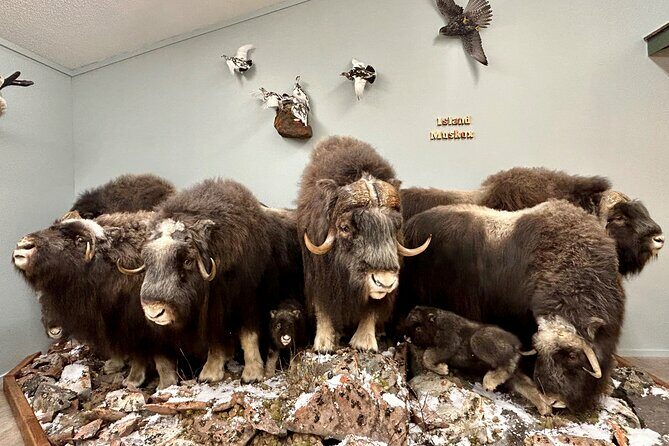 Tablet Tour in Wildlife Gallery - Key Points