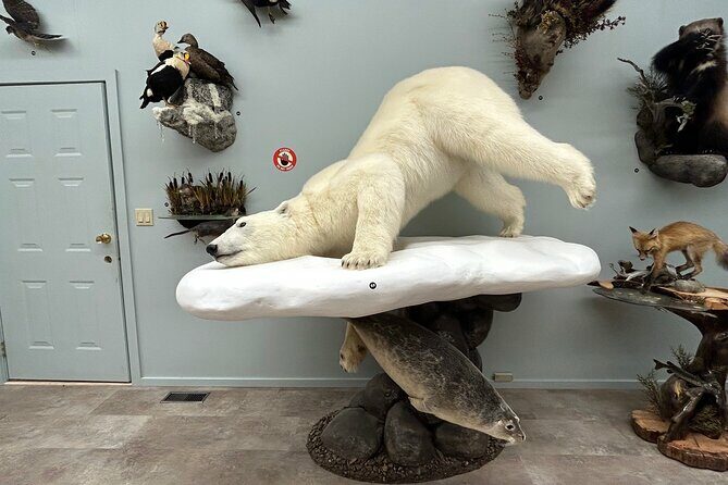 Tablet Tour in Wildlife Gallery - An In-Depth Look at the Tour