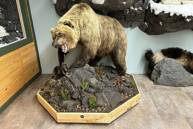 Tablet Tour in Wildlife Gallery - The Sum Up