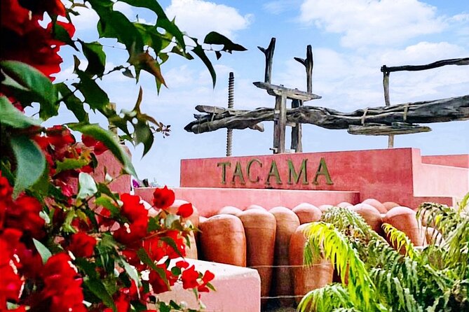 Tacama Wine Experience and Pisco Museum and Pisco Sour Class - Pisco Sour Workshop Delight