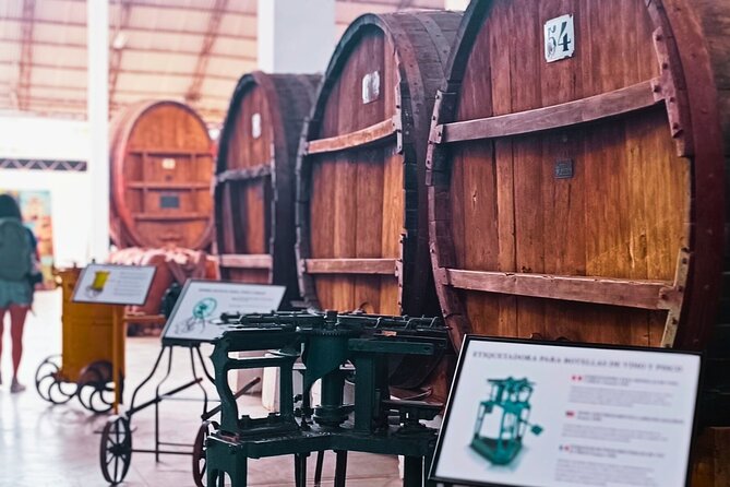 Tacama Wine Experience and Pisco Museum and Pisco Sour Class - Inclusions and Booking Details