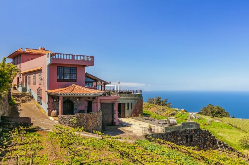 Tacoronte: Guided Winery Tour With Wine and Cheese Tastings - Guided Tour Details