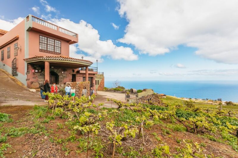Tacoronte: Guided Winery Tour With Wine and Cheese Tastings - Volcanic Soil and Grape Varieties of the Canary Islands