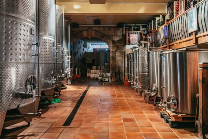 Tacoronte: Guided Winery Tour With Wine and Cheese Tastings - Customer Feedback and Ratings
