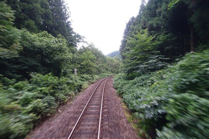 Tadami Line Tour and Private Boat Night Tour of Mugenkyo Ravine - Included Services