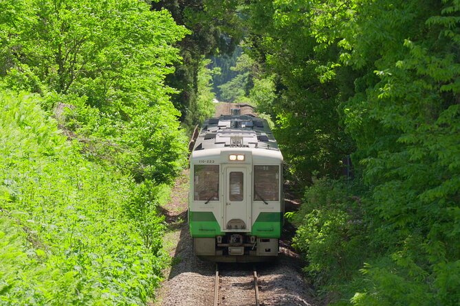Tadami Line Tour and Private Boat Night Tour of Mugenkyo Ravine - Booking Information