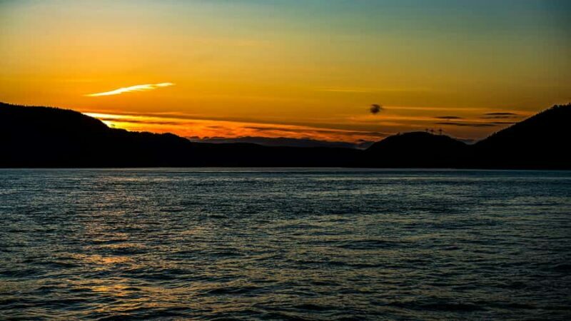 Tadoussac/Charlevoix: Whale & Fjord Morning or Twilight Tour - Wildlife Encounters: Realistic Expectations