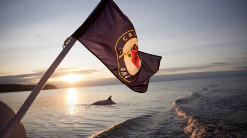 Tadoussac: Whales and Fjord Cruise Morning or Twilight Tour - Key Points