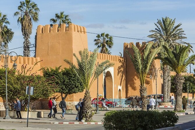 Tafraoute and Tiznit Private Tour - Cultural Immersion