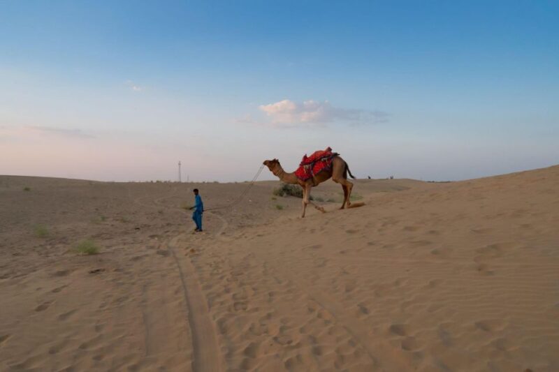 Taghazout/Agadir: Jeep Desert Safari Day Tour With Lunch - Included in the Tour