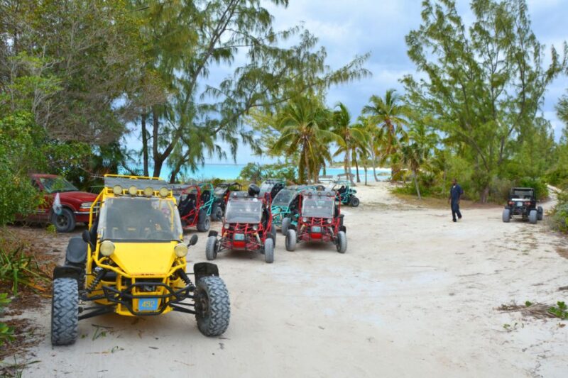 Taghazout: Guided Buggy Tour - Key Points