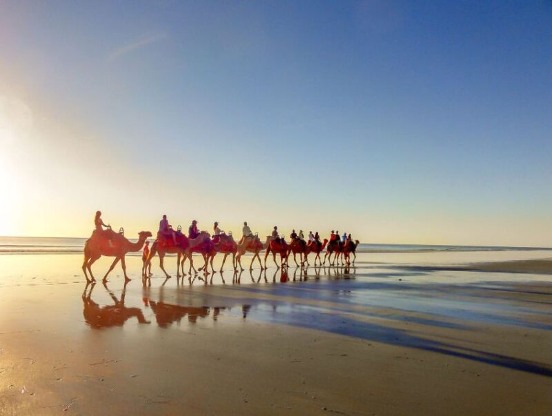 Taghazout: Guided Sunset Camel Ride on the Beach - Key Points