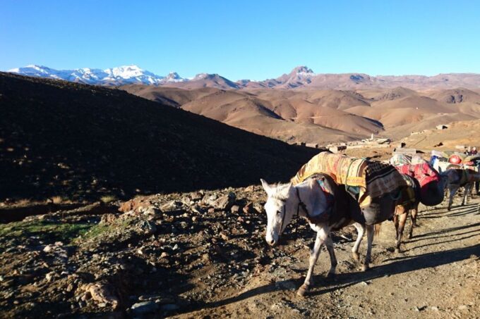 Taghazout: Paradise Valley and Sand Dunes Guided Tour - Explore Paradise Valley