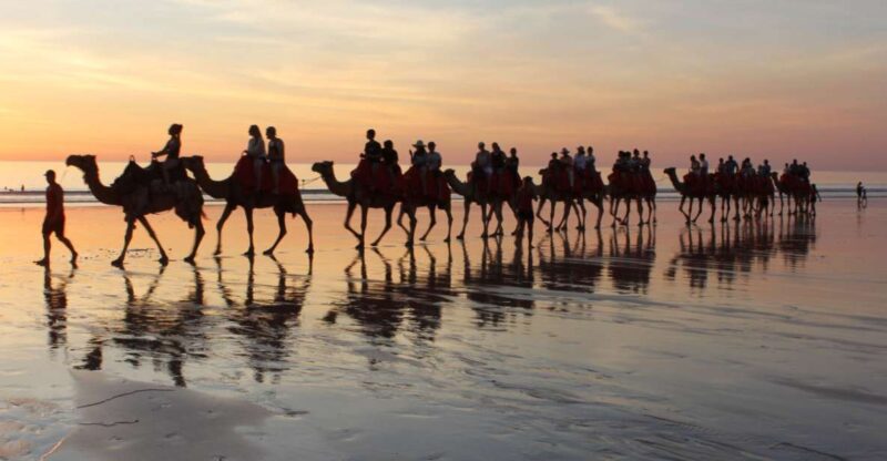 Taghazout: Sunset Camel Ride - Key Points