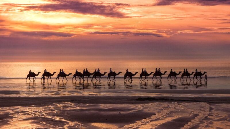 Taghazout Sunset Camel Ride - Key Points