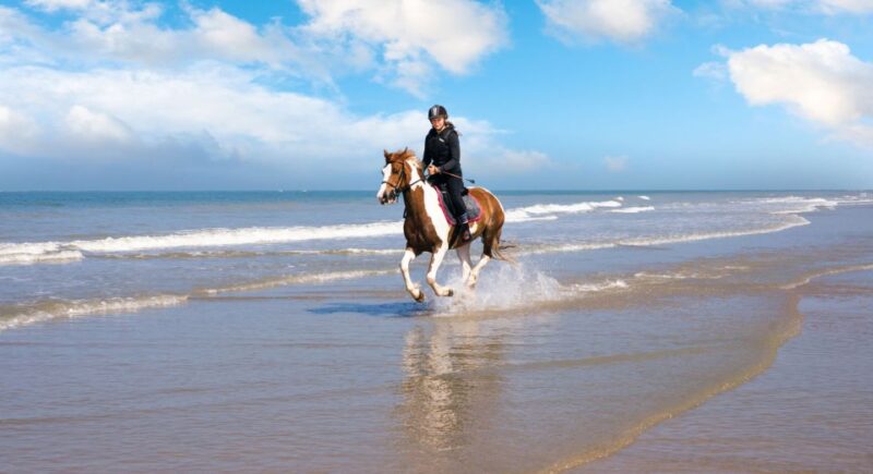 Taghazout: Sunset Horse Riding Experience on the Beach - Inclusion and Reservation