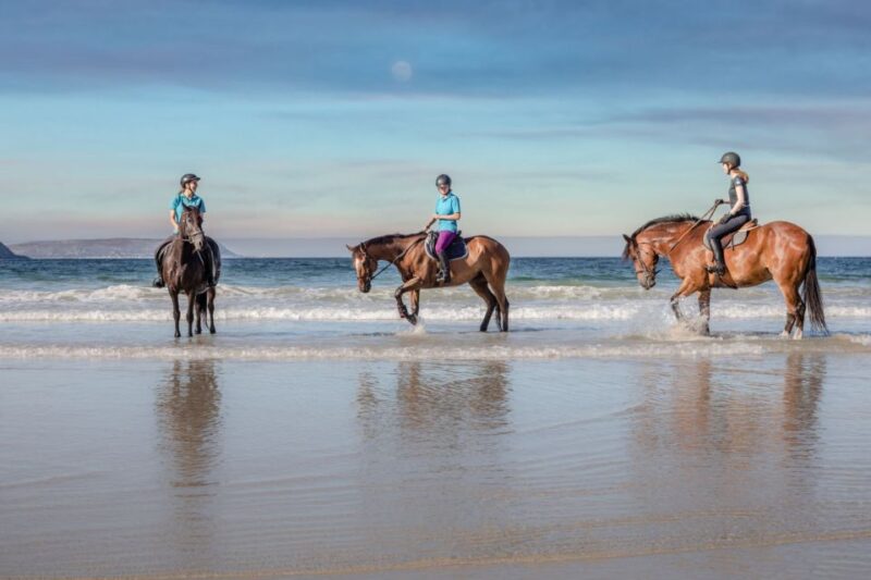 Taghazout: Sunset Horse Riding Experience on the Beach - Pickup and Drop-off Service