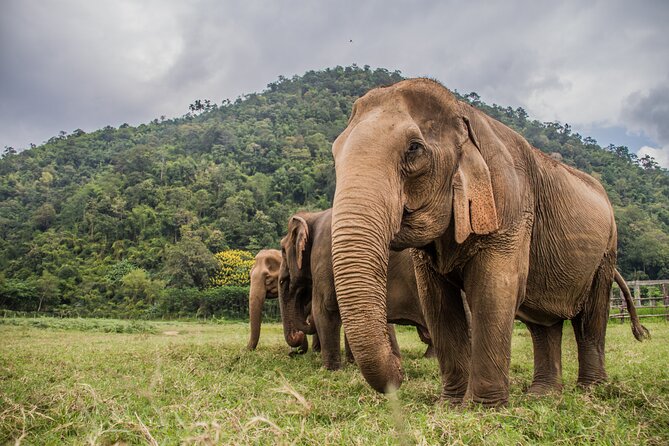 Tagthai: Chiang Mai City Day Pass With 90+ Benefits in One Day! - Operational Details