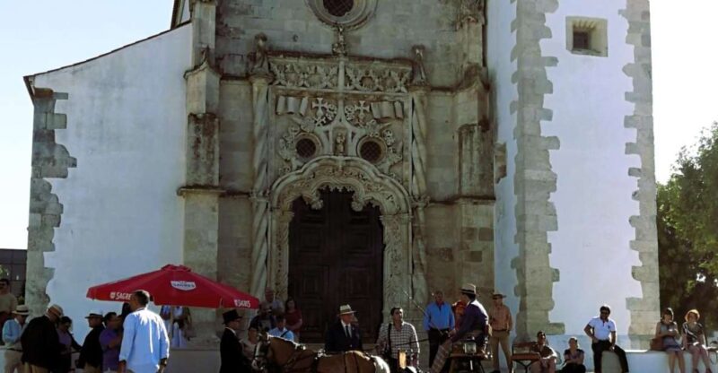 Tagus River & Ancient Production: Olive Oil, Wine and Horses - Itinerary Highlights