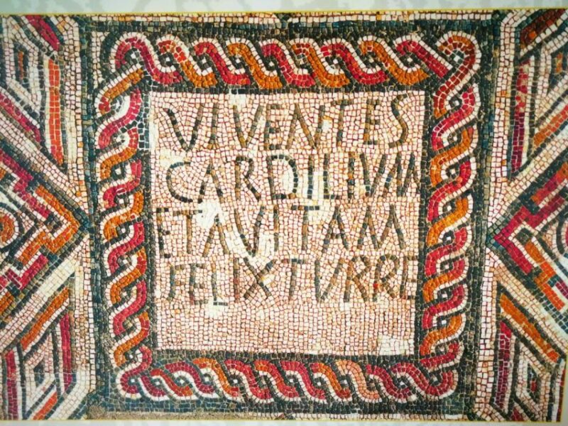 Tagus River & Ancient Production: Olive Oil, Wine and Horses - Inclusions and Additional Fees