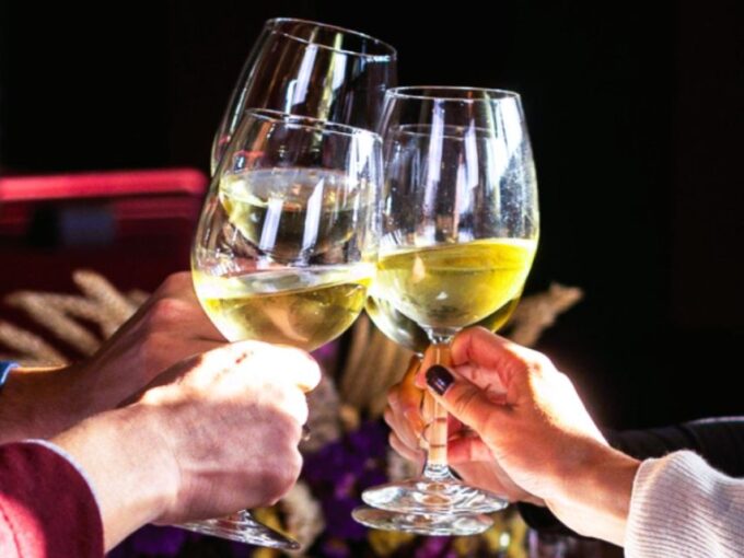 Tagus River & Ancient Production: Olive Oil, Wine and Horses - Discovering Golegã and Ribatejo