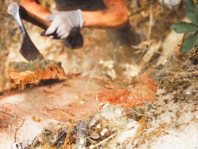 Tagus River & Ancient Production: Olive Oil, Wine and Horses - Frequently Asked Questions