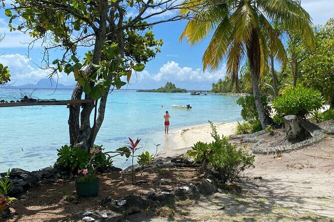 Taha'a Island or Raiatea Boat Tour - Key Points