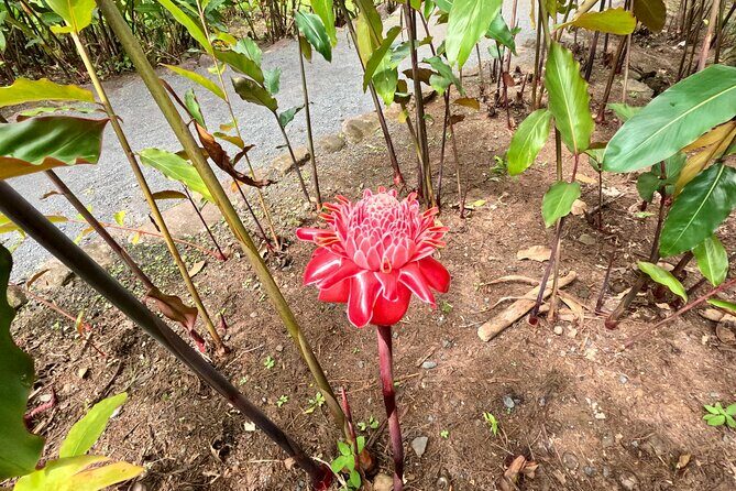 Taha'a Island or Raiatea Boat Tour - FAQ