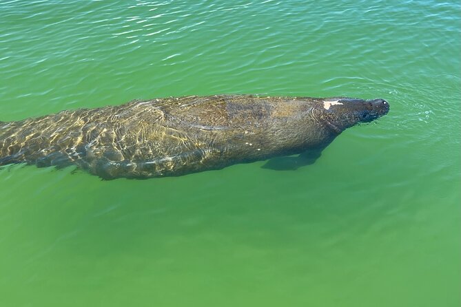 Tahe Paddle Board SUP Rental - Big Hickory, Bonita Springs - Health and Safety Information