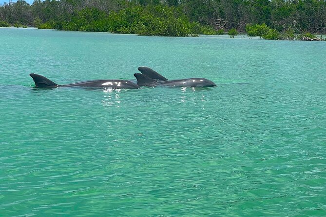 Tahe Paddle Board SUP Rental - Big Hickory, Bonita Springs - Pricing and Cancellation Policy