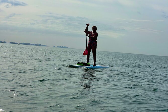 Tahe Paddle Board SUP Rental - Big Hickory, Bonita Springs - Customer Reviews