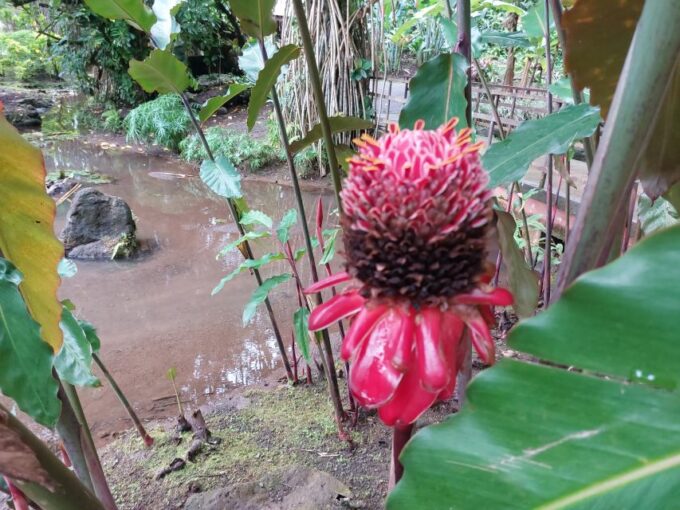 Tahiti Classical Coastal Full Day Private Tour - Frequently Asked Questions