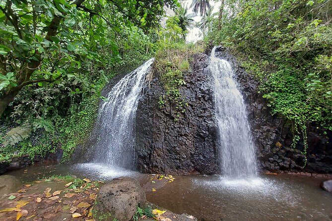 Tahiti Half Day Coastal Private Tour - Key Points