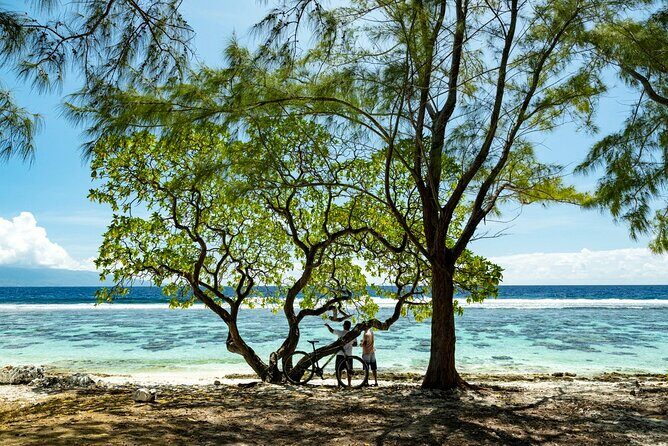 Tahiti Half Day Coastal Private Tour - Frequently Asked Questions