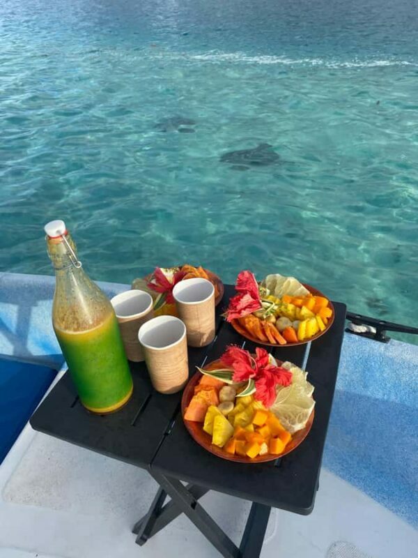 Tahiti island: 5 hours Snorkeling Picnic - An In-Depth Look at the Tour Experience