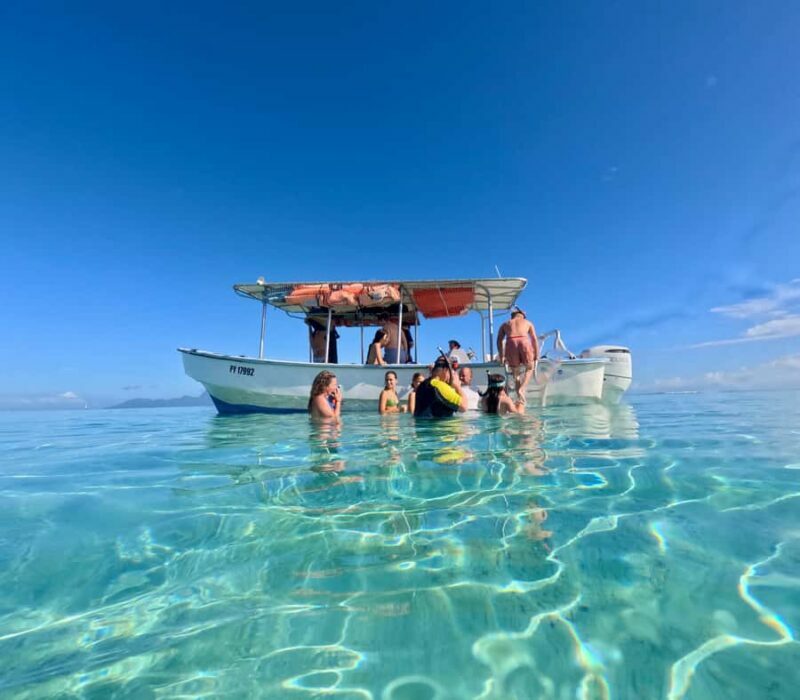 Tahiti island: 5 hours Snorkeling Picnic - The Sum Up