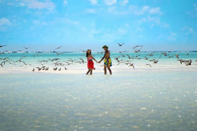 Tahiti Lagoon: 4-hour snorkeling to discover the secrets of the lagoon - Practical Details: Comfort and Convenience