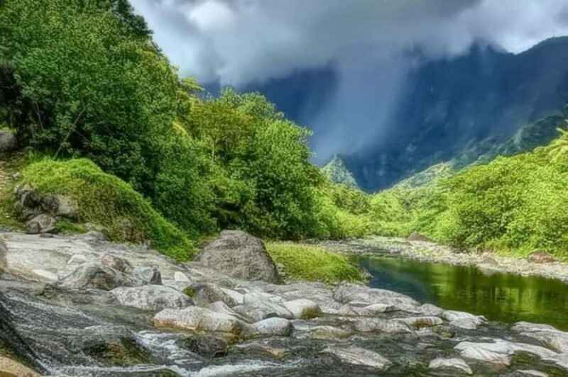 Tahiti: Unique East Coast Half Day Tour with Local Guide - Value and Cost Consideration