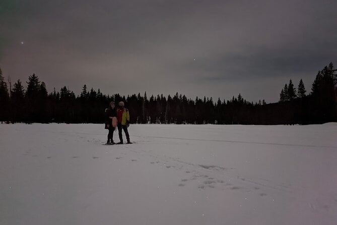 Tahoe National Forest Moonlight Snowshoe Tour Under a Starry Sky - Gear and Preparation