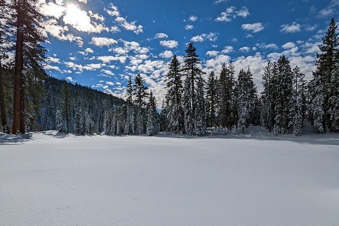 Tahoe National Forest Moonlight Snowshoe Tour Under a Starry Sky - Highlights of the Tour