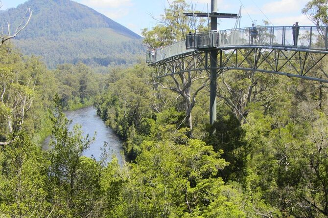 Tahune Airwalk & Hastings Cave Active Day Tour From Hobart - Health and Safety Information