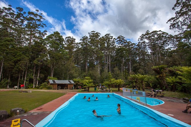Tahune Airwalk & Hastings Cave Active Day Tour From Hobart - Traveler Reviews and Feedback