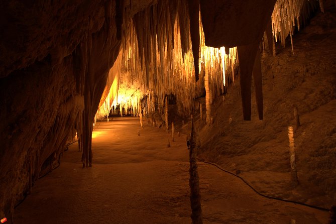 Tahune Airwalk & Hastings Cave Active Day Tour From Hobart - Tahune Airwalk Experience