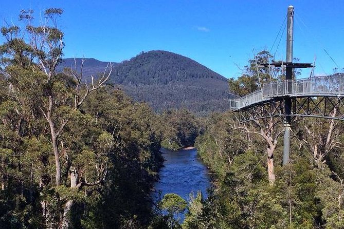 Tahune Airwalk & Hastings Cave Active Day Tour From Hobart - Hastings Cave and Thermal Springs