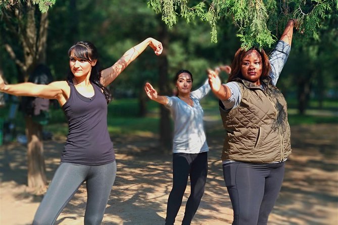 Tai Chi and Chinese Calligraphy Learning Class - Positive Traveler Feedback