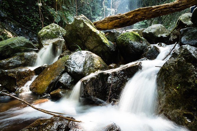 Tai Mo Shan Waterfall Adventure Hike - Itinerary and Highlights