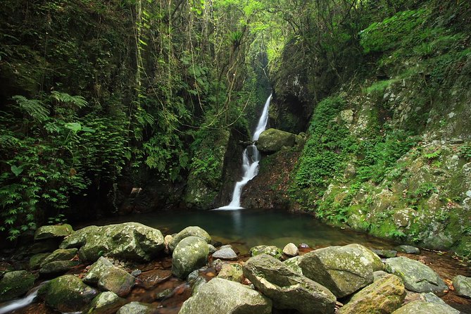 Tai Mo Shan Waterfall Adventure Hike - Cost and Booking Details