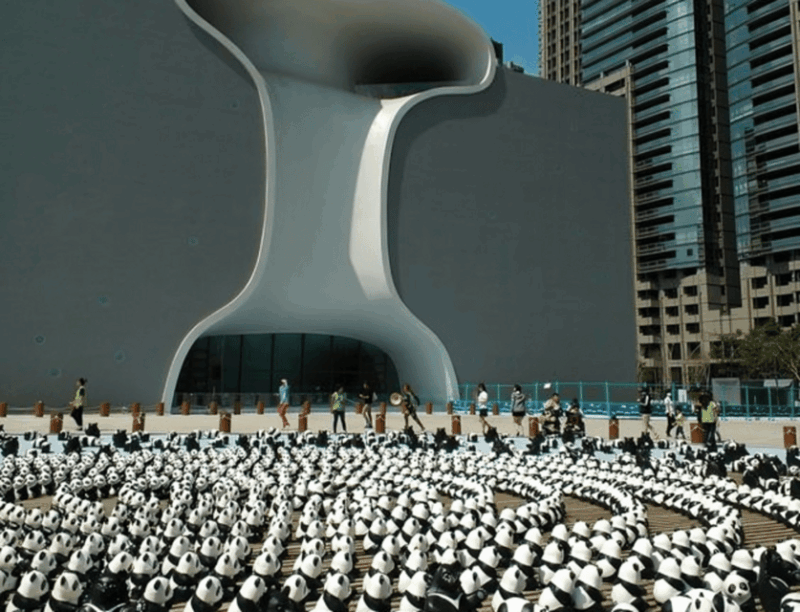 Taichung City: Sightseeing Walking Tour With a Local Guide - Experience and Insights